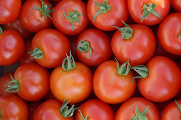 Rote Tomaten als Hintergrund