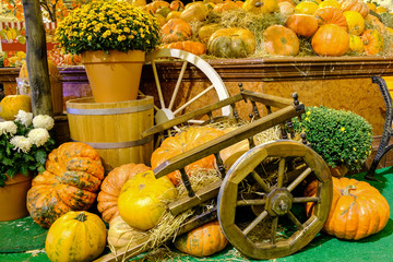 Big pumpkins in the cart.