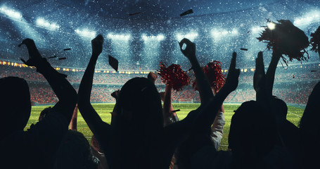 Fans celebrating the success of their favorite sports team on the stands of the professional...