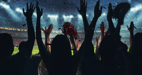 Fans celebrating the success of their favorite sports team on the stands of the professional...