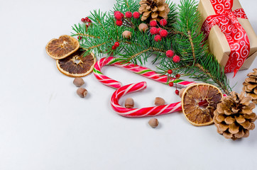 christmas background with fir, dry candied fruits, candy sticks