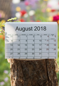 Vertical image: calendar of the month August 2018 is on a wooden log on a natural blurry background of colorful flowers on outside. We can see a small shadow of a beautiful leaf in a sunbeam.