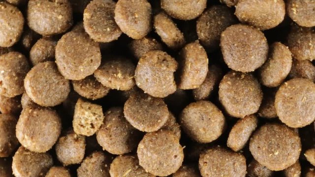 Croccantini per cani