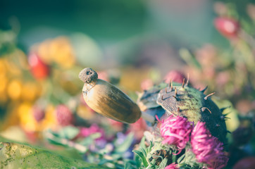 colorful autumn craft