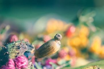 colorful autumn craft