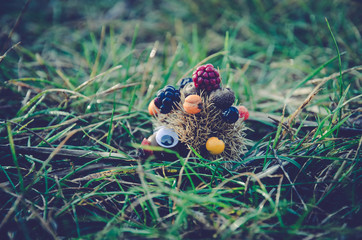 lovely hedgehog made out of autumn fruits