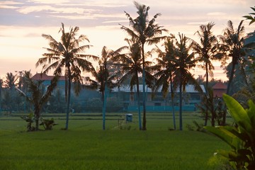 Fototapeta premium 1