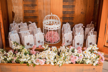 vase, watering, background, red, white, can, decoration, beautiful, nature, pot, color, plant, leaf, floral, garden, wooden, table, design, gift, natural, flower, spring, blossom, petal, bloom