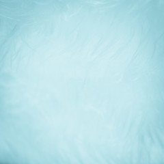 Obraz premium Blue vintage color trends feather pattern texture background