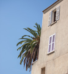 Palme am Haus auf Korsika