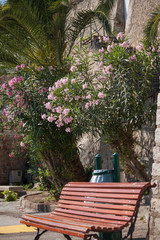 Parkbank mit Oleander auf Korsika