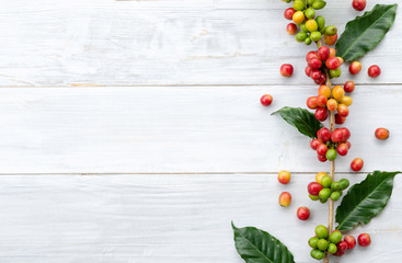 red berry coffee beans on white wooden background with copy space