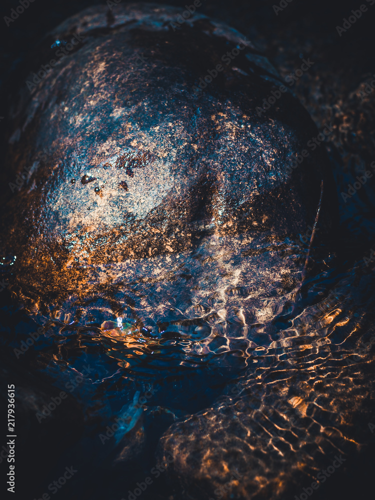 Wall mural crystal clear water in a mountain stream. a photo from the top of the detail, brown colors. top view