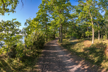 Hiking path through a forest