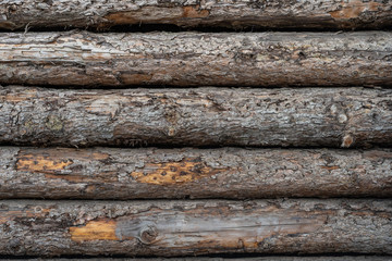 Stacked brown tree trunks as a wooden background