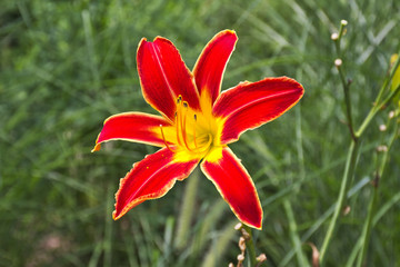 Fototapete bei efototapeten.de bestellen   