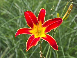 Fototapete bei efototapeten.de bestellen   