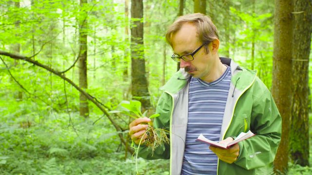 A scientist environmentalist exploring plants in a forest. He examining plant and smiling (russian text on the notebook - Russian Academy of Sciences, Institute of Problems of Biology and Evolution)