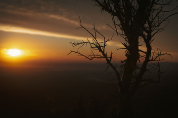 Atardecer