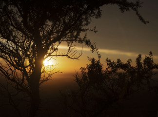 Atardecer