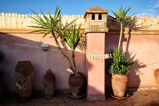 Roof top terrace interior with cactus pots  against a red wall in medina of Marrakech, Morocco.