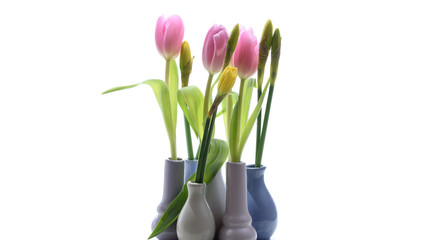 Kleine Vasen mit Tulpen und Narzissen isoliert