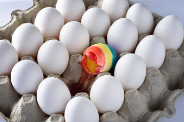 Broken egg with the colors of the LGBT flag surrounded of white other many eggs  in carton  box. International Day Against Homophobia concept.
