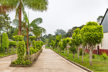 Fototapeta premium An Empty Paved Street in the Village of Indiana on the Amazon River, Peru