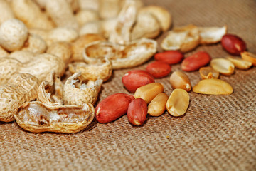 Peanuts are peeled and inshelled in the background of sackcloth.