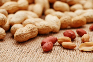 Peanuts are peeled and inshelled in the background of sackcloth.