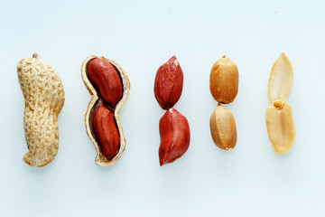 Evolution. Peanuts from the nut in the shell - to the peeled. On a white background
