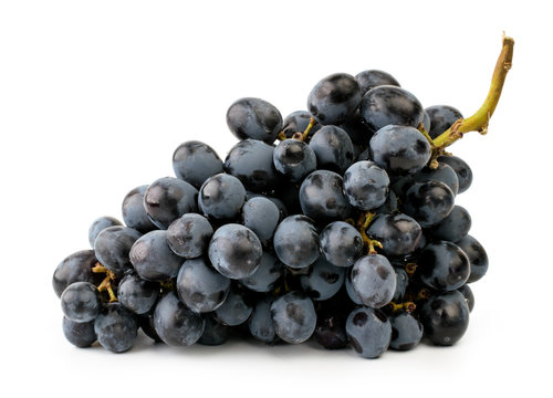 Bunch of blue grapes on a white, close-up. Isolated
