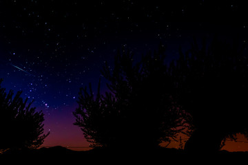 Obraz na płótnie Canvas Hermoso paisaje nocturno con meteorito cayendo, estrellas y olivos
