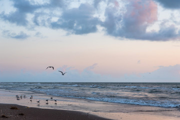 Morning seascape