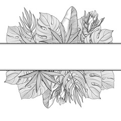 Banner with top and bottom borders of tropical, jungle palm leaves, hand-drawn vector illustration isolated on white background. Banner with tropical, jungle leaves, hand drawn black and white frame