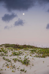 Morning on the beach