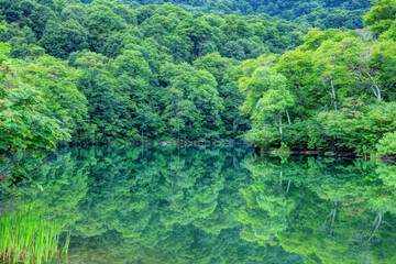 夏の鎌池