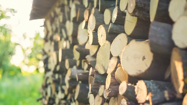 Firewood is intended for burning in an oven, fireplace, furnace or fire for the purpose of obtaining heat and light. Firewood under warm sunlight