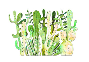 drawing watercolor cactus