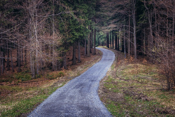 Obraz premium Forest road in tourist district Beskids - Moravian Wallachia near Vsetin town, Czech Republic