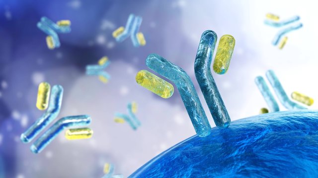 antibodies, immunoglobulins, the immune system, 3D rendering