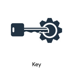 Key icon vector isolated on white background, Key sign