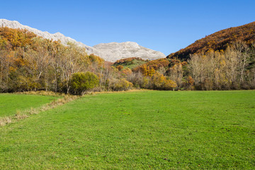 Fototapeta na wymiar Paisaje con Praderas, Montaña de Roca Caliza y Bosque Otoñal