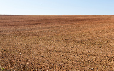 Paisaje con terreno agricola , arado recientemente y preparados para el cultivo