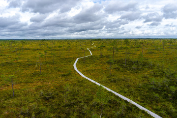 Misty bog landscape with Viru Raba moor in the morning. Lahemaa National park in Estonia.