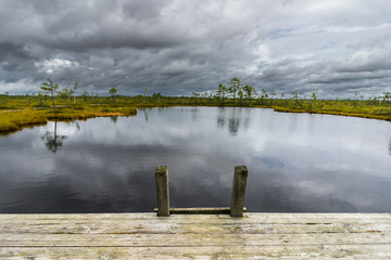Misty bog landscape with Viru Raba moor in the morning. Lahemaa National park in Estonia.
