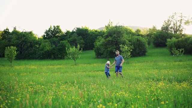 Father with a small daughter running on a meadow in spring nature.