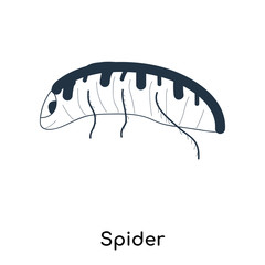 Spider icon vector isolated on white background, Spider sign , illustration with thin symbols or lined elements in outline style