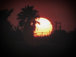 Atardecer