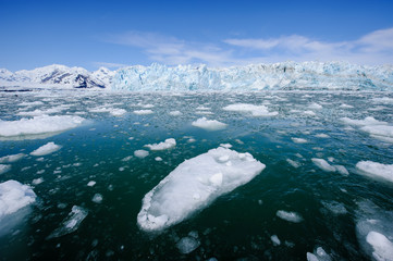 Yakutat Bay, Hubbard Glacier in background.